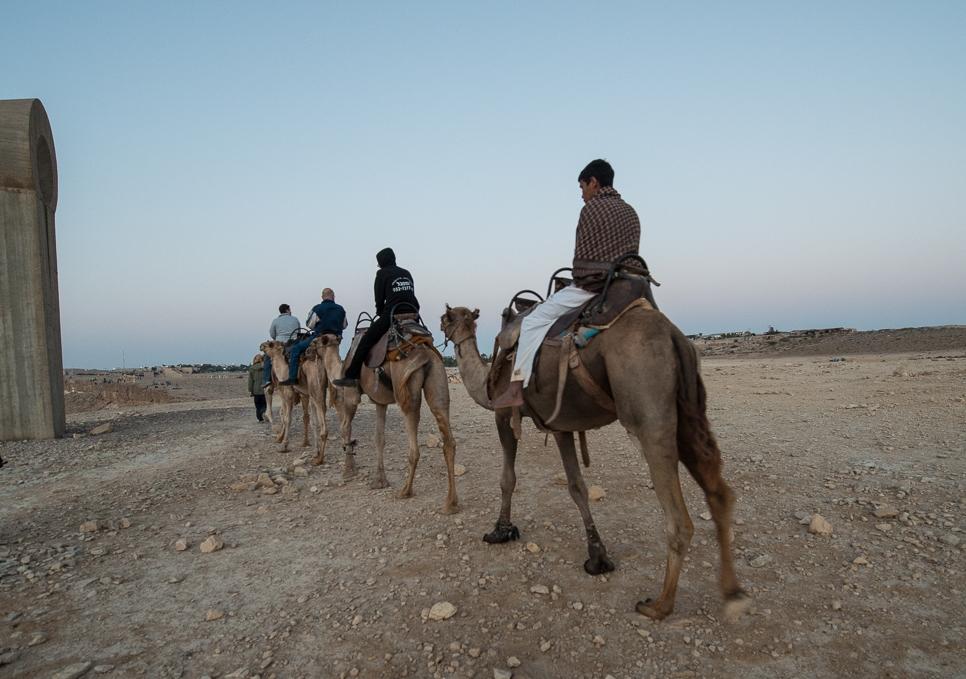 טיולי גמלים עם בן המדבר - צילום נורית עגור