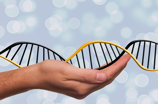הרופאים ממליצים: להכניס לסל התרופות בדיקות ריצוף גנטי מתקדמות