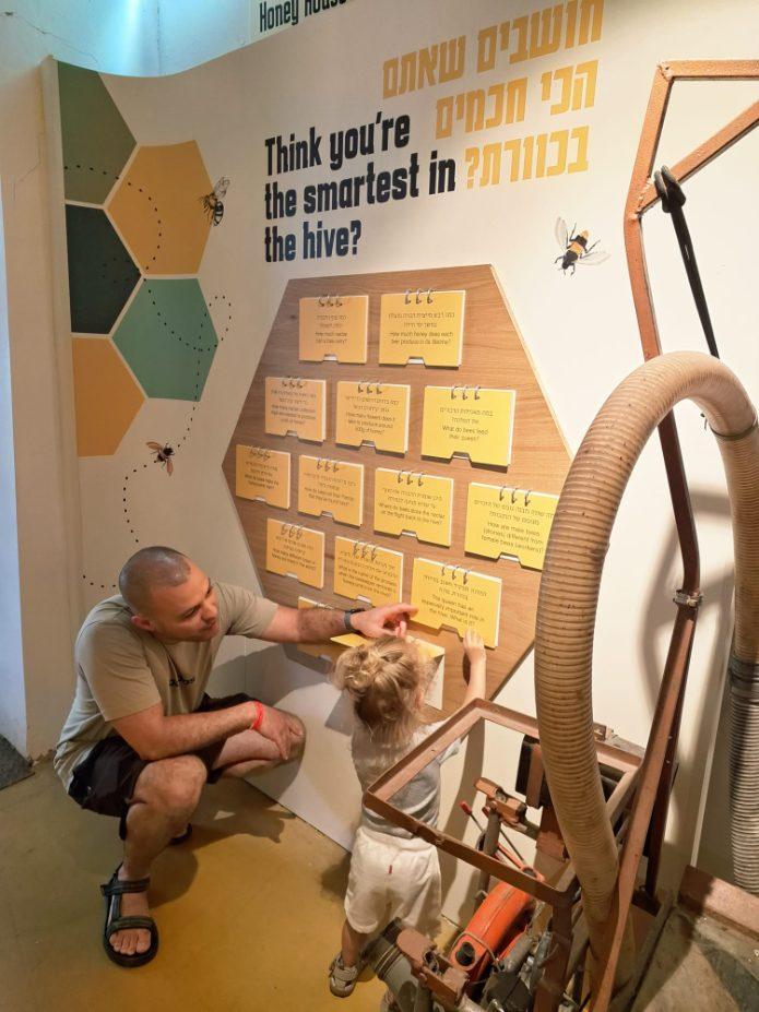 מכוורת יד מרדכי. צילום: תיירות יד מרדכי
