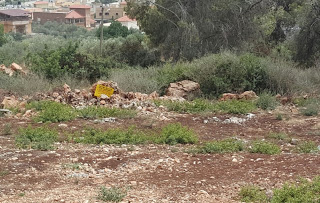 נחל עירון: מסיג גבול שהקים רפת בלתי חוקית על אדמות המדינה פונה עקב פעולות אכיפה של מפקחי רשות מקרקעי ישראל