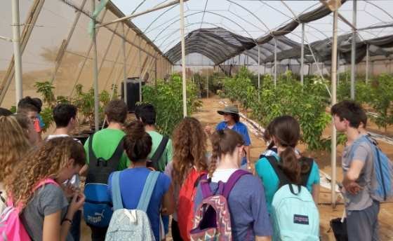 פעילות מדעית חינוכית בחממת הערבה התיכונה. צילום: חממת הערבה