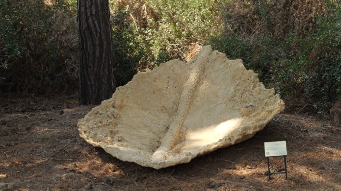 "מאובן דרך" של עדן בנט בגני רמת הנדיב. צילום: אופיר מורדוב