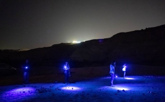 סיור לילה מואר באחד מאתרי הפסטיבל. צילום: רשות מקרקעי ישראל