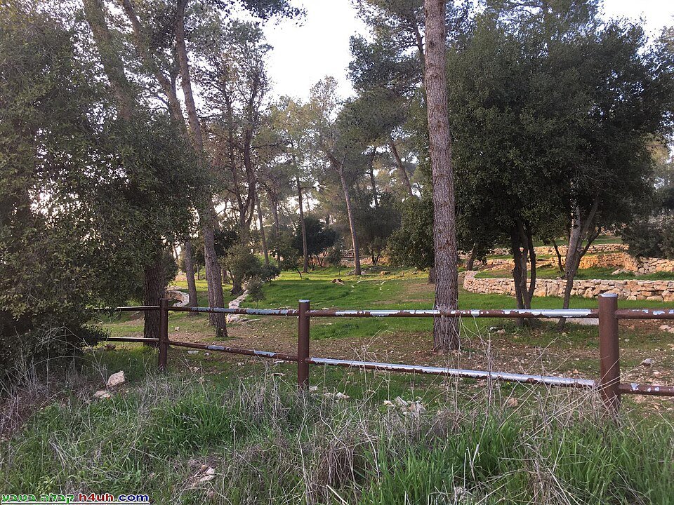 חניון מוסדר עם גדר עץ, מדשאה ועצים באזור בר גיורא שבהרי ירושלים (צילום: אטרקציות טיולים h4u, ויקישיתוף, CC BY-SA 4.0)