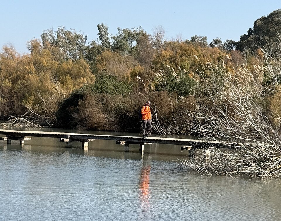 שביל העץ שחוצה את הביצה בשמורת עין אפק – המסלול הנגיש והקצר שמתאים לעגלות