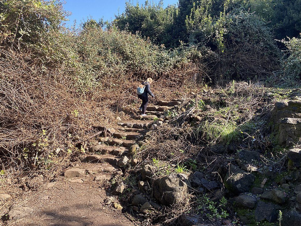 מדרגות אבן וטיפוס בשמורת תל דן – דוגמה למקטע שאינו מתאים לעגלה וכדאי לעקוף אותו