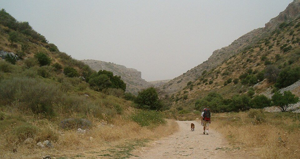 השביל חוצה עמק פתוח באזור נחל דישון שבגליל העליון (צילום: Diana Barshaw, ויקישיתוף, נחלת הכלל)