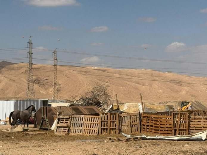 מכלאות ובעלי חיים בשטח שנתפס בפלישה באזור אבו קרינאת. צילום: רשות מקרקעי ישראל
