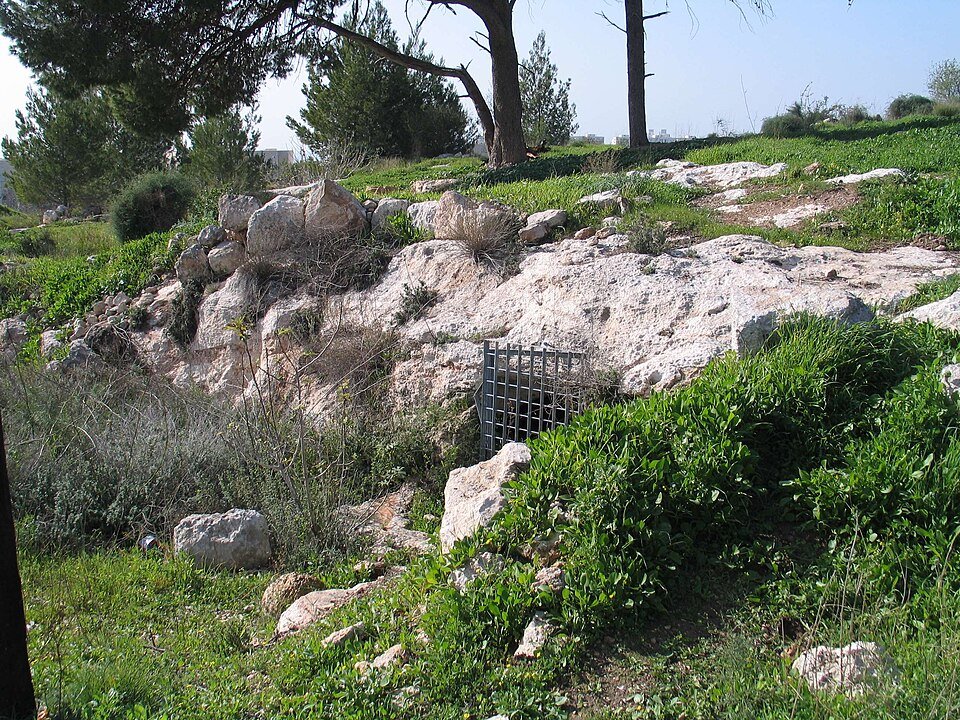 שרידים חצובים בסלע בגבעת התיתורה במודיעין, מוקפים בצמחייה — אתר ארכיאולוגי פתוח בלב העיר (צילום: Bukvoed, ויקישיתוף, CC BY 3.0)