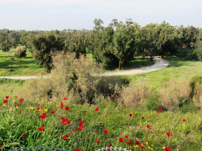 נחל גרר בנגב המערבי. אילוסטרציה | צילום: יהודית גרעין-כל / Wikimedia Commons, CC BY 2.5