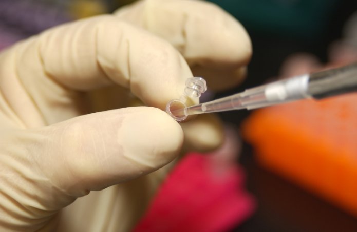 חוקר שואב DNA ממבחנה באמצעות פיפטה. אילוסטרציה | צילום: Maggie Bartlett / NHGRI, Wikimedia Commons