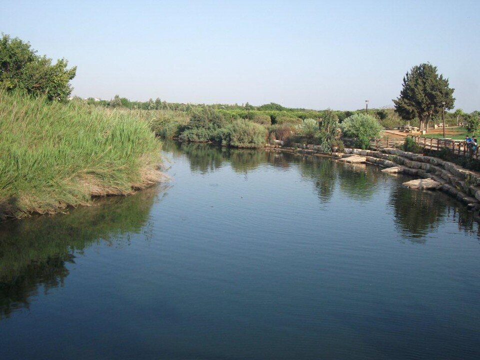 נחל אלכסנדר: מים שקטים בין גדות קנים וצמחייה, עם מעבר עץ ברקע