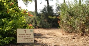 רמת הנדיב פותחת את "תערוכה בשיחים": פיסול בלב גני הזיכרון