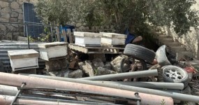 אב ובנו נעצרו בחשד לגניבת 16 כוורות מעין חרוד ומחגלה חלק מהכוורות שנגנבו ואותרו באזור יער מגידו | צילום: דוברות משטרת ישראל