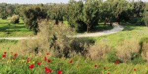 25 מיליון שקל לשיקום נחלים בנתיבות ובאופקים נחל גרר בנגב המערבי. אילוסטרציה | צילום: יהודית גרעין-כל / Wikimedia Commons, CC BY 2.5