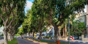 איך בודקים מה מתוכנן סביב הדירה לפני שקונים בתל אביב?