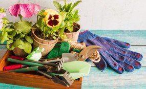 שדרוג הגינה והמרפסת – ציוד קטן שעושה שינוי גדול קרדיט תמונה FREEPIK