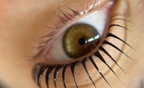 הרמת ריסים וגבות - המדריך המלא למתחילות: מה זה, כמה זה עולה, וממי ללמוד הרמת גבות