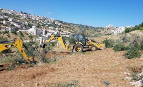 ירושלים: מפקחי רשות מקרקעי ישראל פינו מטע זיתים שהוקם בפלישה לאדמות המדינה ועיכב את עבודות התשתית להרחבת שכונת ארמון הנציב צילום: רשות מקרקעי ישראל.