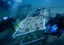 איסוף שברי אלמוגים (צילום: אסא אורן)
