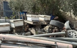 אב ובנו נעצרו בחשד לגניבת 16 כוורות מעין חרוד ומחגלה חלק מהכוורות שנגנבו ואותרו באזור יער מגידו | צילום: דוברות משטרת ישראל