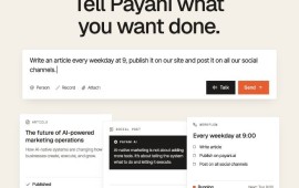 Payani AI משיקה מערכת שמבצעת משימות שיווק ומכירות בשפה טבעית ממשק מערכת הביצוע השיחתית של Payani AI, שבה המשתמש מתאר את המשימה בשפה טבעית | צילום: יח