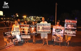 הפגנה באילת נגד המשלוחים החיים של בעלי חיים באניות. צילום: ישראל נגד המשלוחים החיים