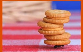 אלי שביט: אין בעיות ללא פתרון אין