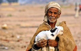 אושר בממשלה: יועבר תקציב למגזר הבדואי כ-3 מיליארד ש"ח צילום: אילוסטרציה