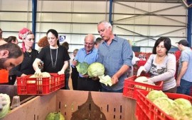 שר העבודה והרווחה חיים כץ: נגדיל את מיזם הביטחון התזונתי ב-50% השנה בטחון תזונתי. צילום: יוסף כהן