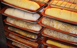 חרף הניסיונות לשבש את החקירה נעצר בעל המאפייה צילום: אילוסטרציה