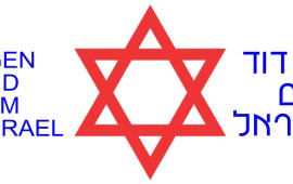 שיתוף פעולה מציל חיים: מד״א משתף מנסיונו בטיפול באירועים רבי נפגעים עם הצלב האדום הגרמני מד״א משתף מנסיונו בטיפול באירועים רבי נפגעים עם הצלב האדום הגרמני