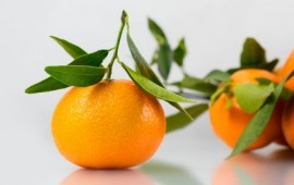 תמר בונבון ומנדרינות קלות לקילוף בתערוכת Fruit Logistica צילום: אילוסטרציה