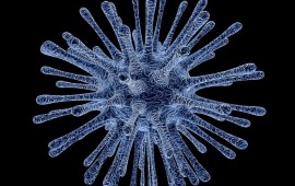 משרד הבריאות והמשרד להגנת הסביבה: חולת זיקה נוספת נדבקה בנגיף ואובחנה בישראל יצוין, כי במהלך החודשים האחרונים הגיעו מחו