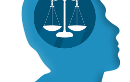 פרס שקיפות שלטונית יוענק הבוקר לממונה על חופש המידע ברשות מקרקעי ישראל תמונה: אילוסטרציה