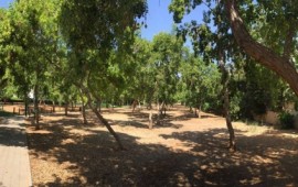 תושבים מרמה"ש במכתב לשר הפנים: מוטרדים ומודאגים מהתנהלות ראש העיר - מדוע מבנה ל- 6 כיתות ומשרד עולים 10 מיליון ש"ח? חורשת העמל ( צילום: עמית גירון)