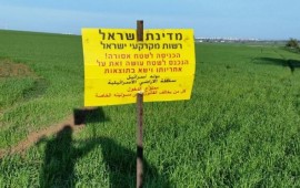 הפולש שזרע שטח אש: מפקחי רשות מקרקעי ישראל והסיירת הירוקה פינו כ-200 דונם שנזרעו ע"י פולש באזור לכיש אילוסטרציה