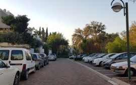 התארגנות חדשה נגד כריתת חורשת העמל: "יבוטלו עשרות מקומות חניה" מצוקת חניה ברובע הדר (צילום:יח