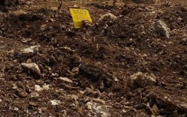 רמת הגולן: מסיג גבול שנטע מטע דובדבנים על אדמות ציבוריות נאלץ לפנות את הקרקע לאחר שנתפס אילוסטרציה (צילום: רשות מקרקעי ישראל)