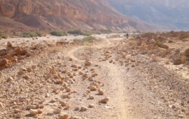 הקרן לשמירה על שטחים פתוחים בחרה בשביל ישראל לאופניים כפרויקט לאומי שביל ישראל לאופניים-אזור נחל נקרות