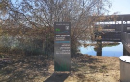 בואו לטייל בפרויקט המדהים "עיר בלב הפארק" בירוחם שעבר מתיחת פנים בעזרת רשות מקרקעי ישראל טיילת ירוחם(צילום:רשות מקרקעי ישראל)