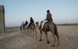טיולי סוכות בהר הנגב טיולי גמלים עם בן המדבר - צילום נורית עגור