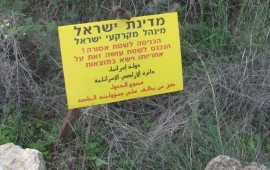 בעל מוסך מאשדוד מסיג גבול הציב מכולה על קרקעות מדינה ופינה את הקרקע צילום אילוסטרציה: רשות מקרקעי ישראל