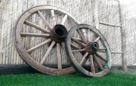 חלום ירוק: לקראת הפסח הקימו בעצמכם גינה בקומה עשירית גינה בקומה העשירית