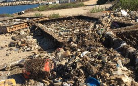 מהם החופים הנקיים ביותר בישראל? פסולת בתחנת הכח רוטנברג(צילום: יצחק קודוביצקי, המשרד להגנת הסביבה)