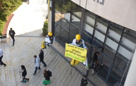 פעילי גרינפיס מקדמים אנרגיה סולארית. צילום: גרינפיס