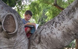 מיזם חדש בהרצליה הצעירה: ספריית השאלה קהילתית קוראים גם בחיק הטבע בהרצליה הצעירה