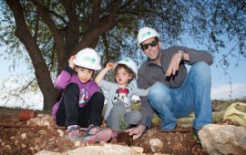 הכביש הירוק: פקעות הפרחים חזרו לכביש 85 מאות עובדי חברת נתיבי ישראל וילדיהם השתתפו במבצע השבה לטבע של גיאופיטים (פקעות פרחים) לתוואי כביש 85 החדש- הכביש הירוק ביותר בישראל שנפתח לתנועה