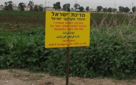 כפר ביאליק: שלט חוצות שהוצב על אדמות המדינה ללא היתר פונה שלט חוצות שהוקם ללא היתר פונה ע