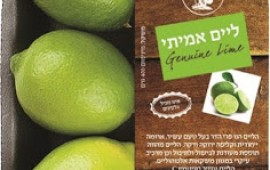 מעכשיו ברשתות: החלה עונת הליים הטרי ליים. צילום מוצר – בועז לביא